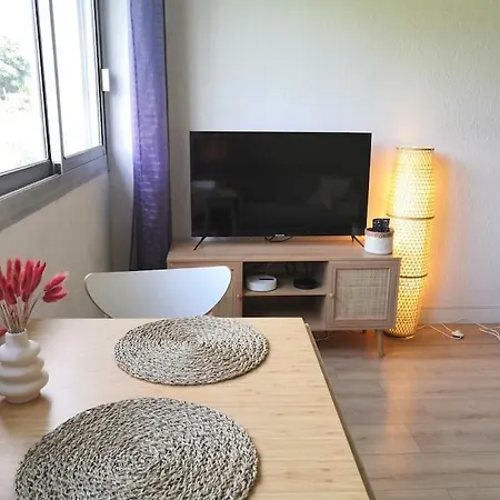 Les Palmiers: Apt 2 Prs, Piscine, Parking * アンティーブ