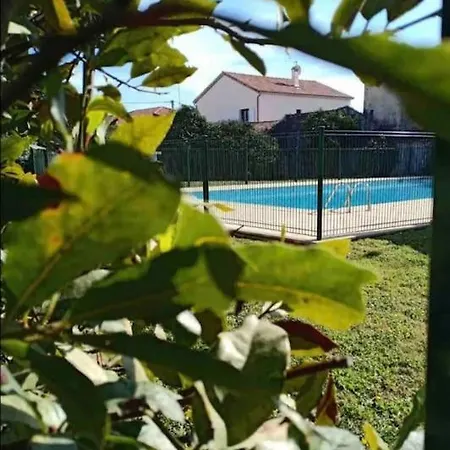 Daire Les Palmiers: Apt 2 Prs, Piscine, Parking Antibes